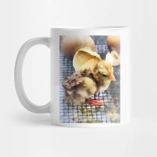 Chickens - Just Hatched Mug